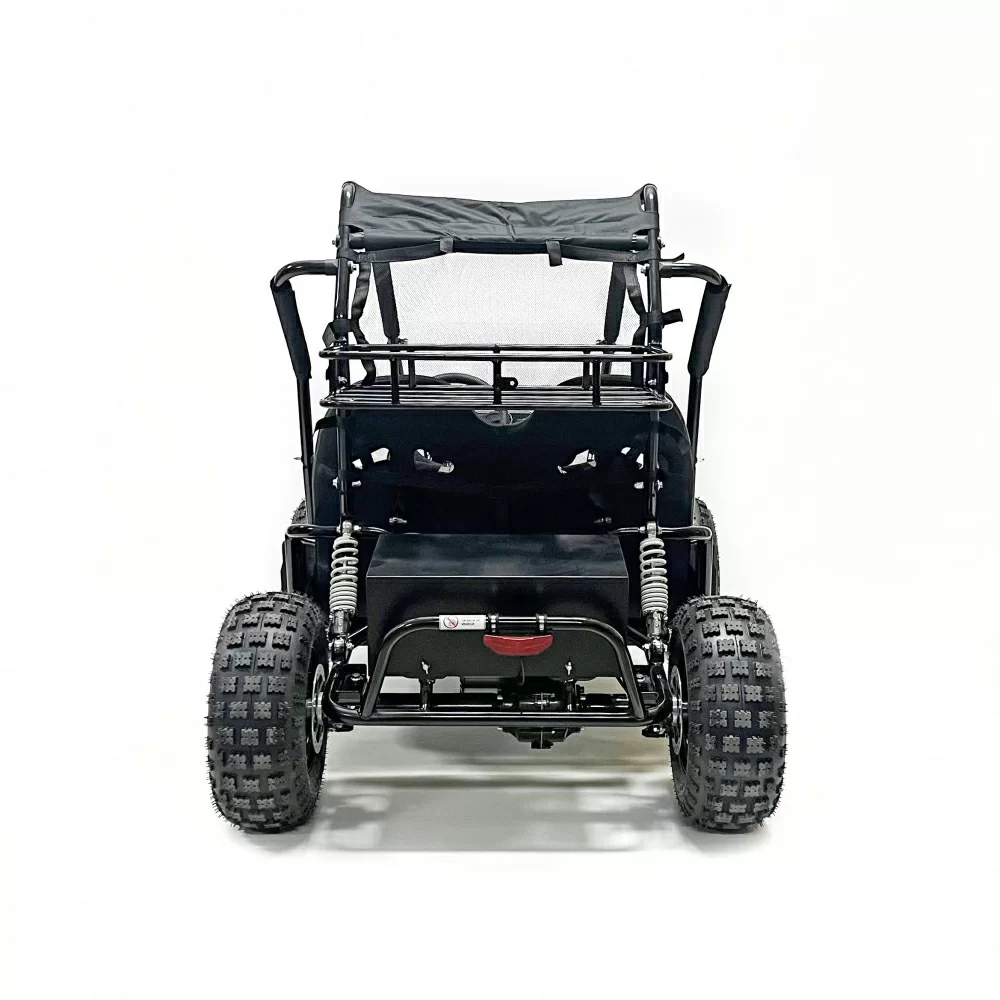 Багги GreenCamel Намиб T10