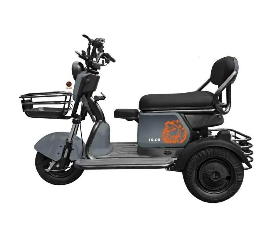 Электротрицикл LS CO A3 Электротрицикл LS CO A3