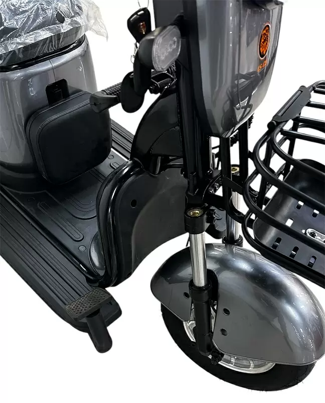 Электротрицикл LS CO A3 Электротрицикл LS CO A3