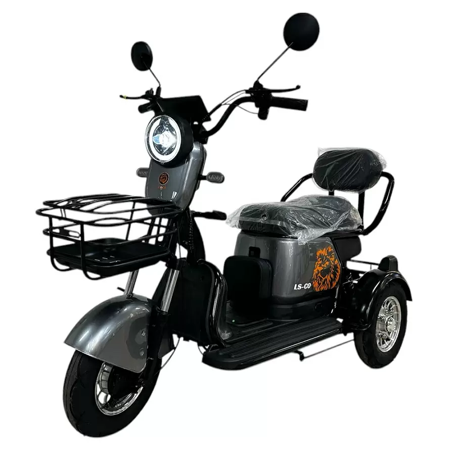 Электротрицикл LS CO A3 Электротрицикл LS CO A3