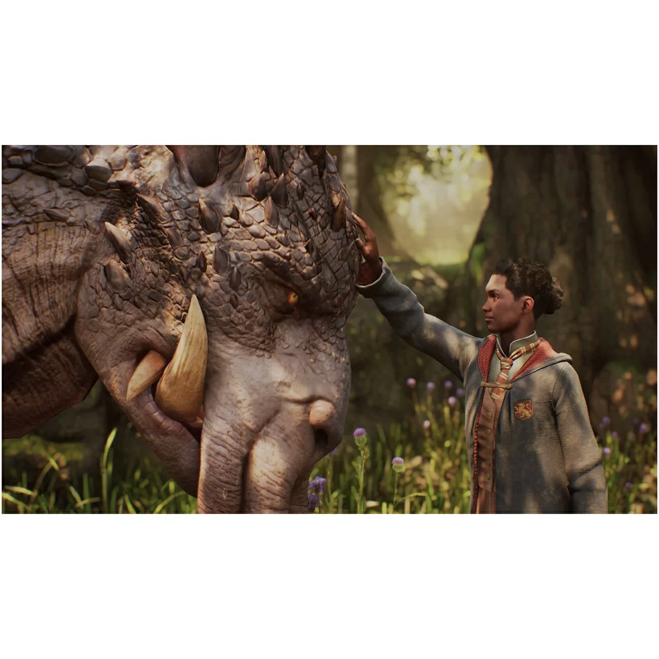 Игра: Hogwarts Legacy Standard Edition для PlayStation 5 Игра: Hogwarts Legacy Standard Edition для PlayStation 5