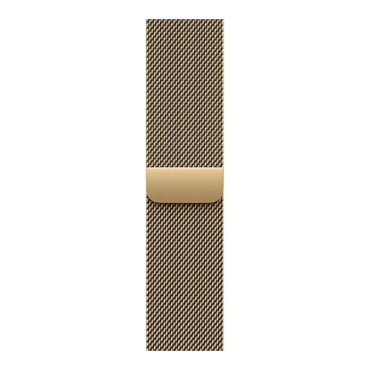Умные часы Apple Watch Series 12 Natural Titanium, 46мм, Titanium Milanese Loop