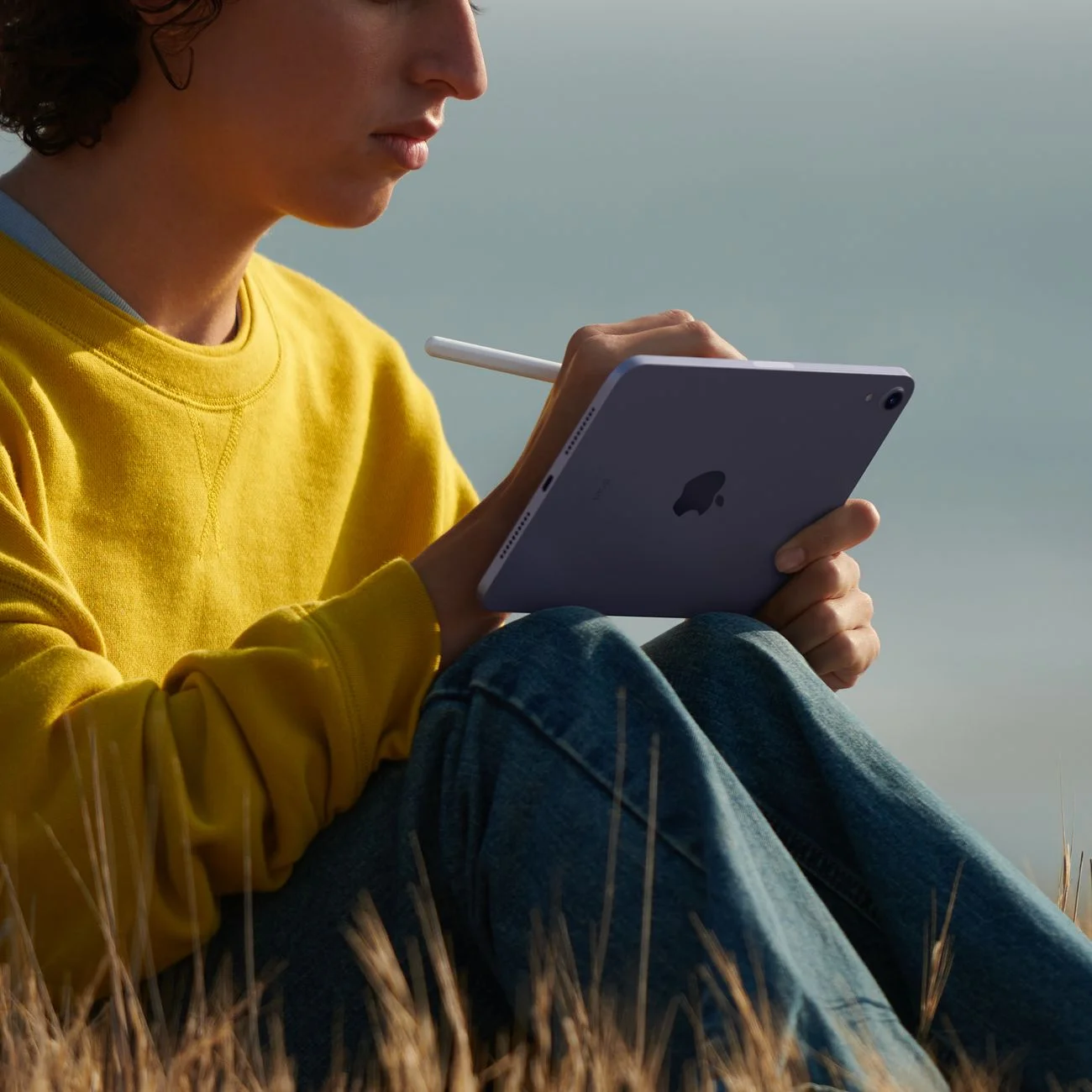 Планшет Apple iPad mini 6 2021 Wi-Fi 256 ГБ, Space Gray