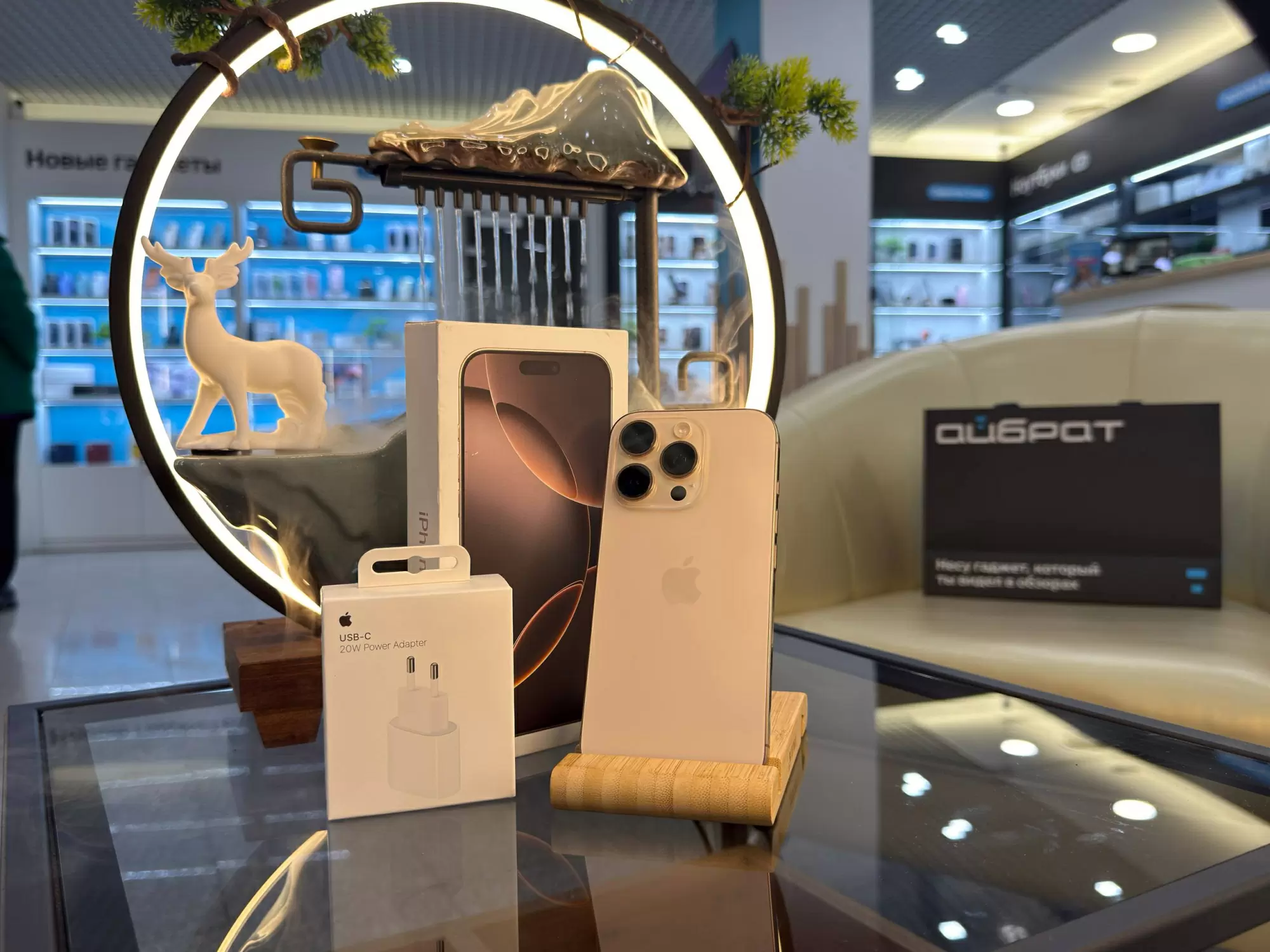 Смартфон Apple iPhone 16 Pro, Пустынный титан, 256 ГБ / 1058*