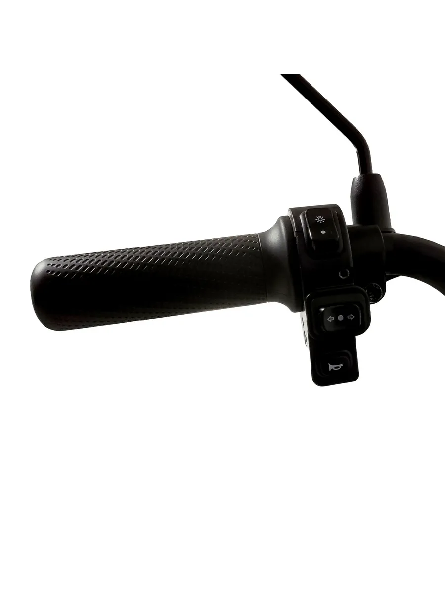 Электросамокат Kugoo EC 03