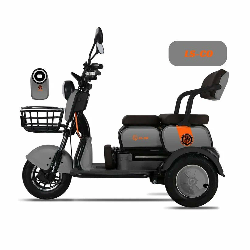 Электротрицикл LS CO A1 Электротрицикл LS CO A1