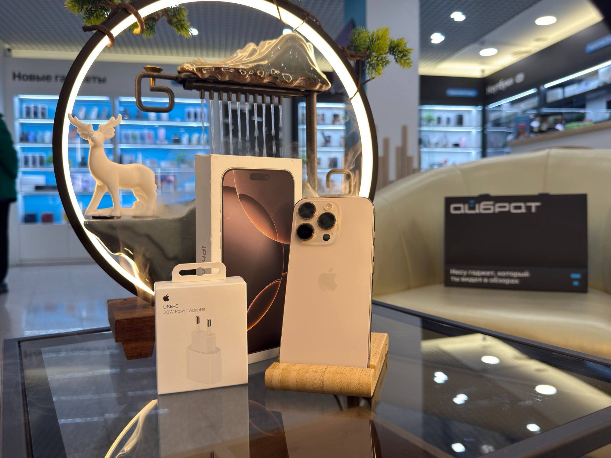 Смартфон Apple iPhone 16 Pro, Пустынный титан, 256 ГБ / 1058*